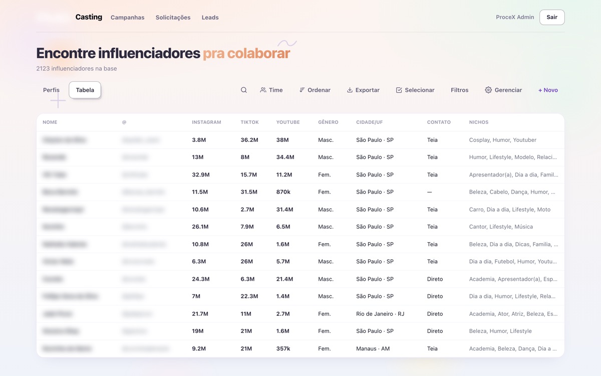 Casting do sistema em tabela: seguidores por rede, cidade e nichos de cada perfil.